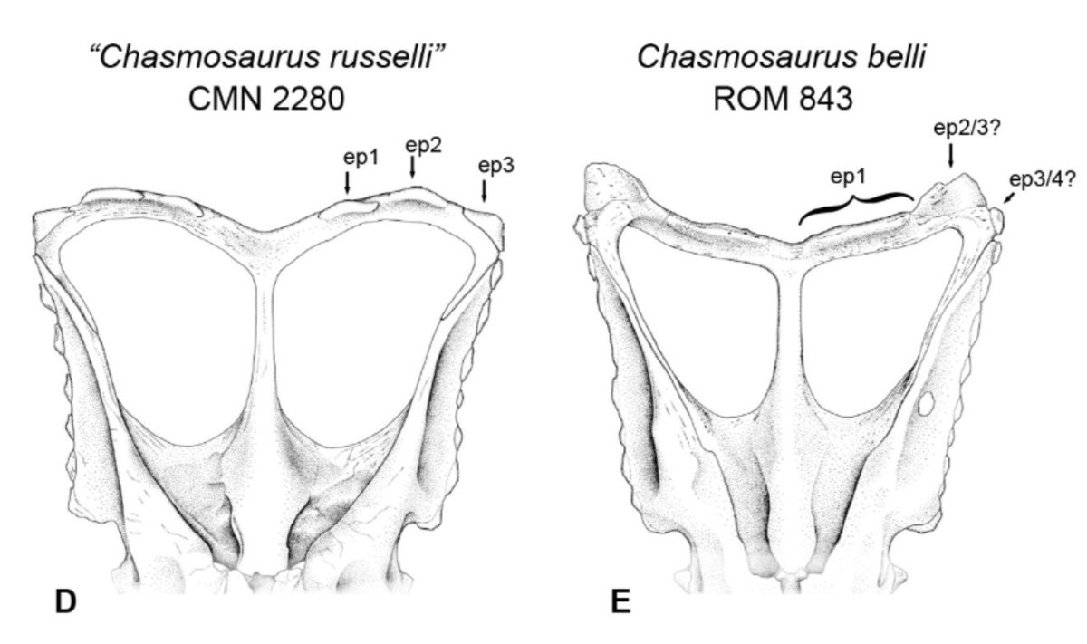 Dani Barrera Guevara tweet media