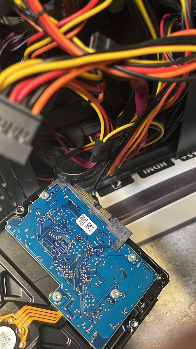 Ercü"fan" tweet media