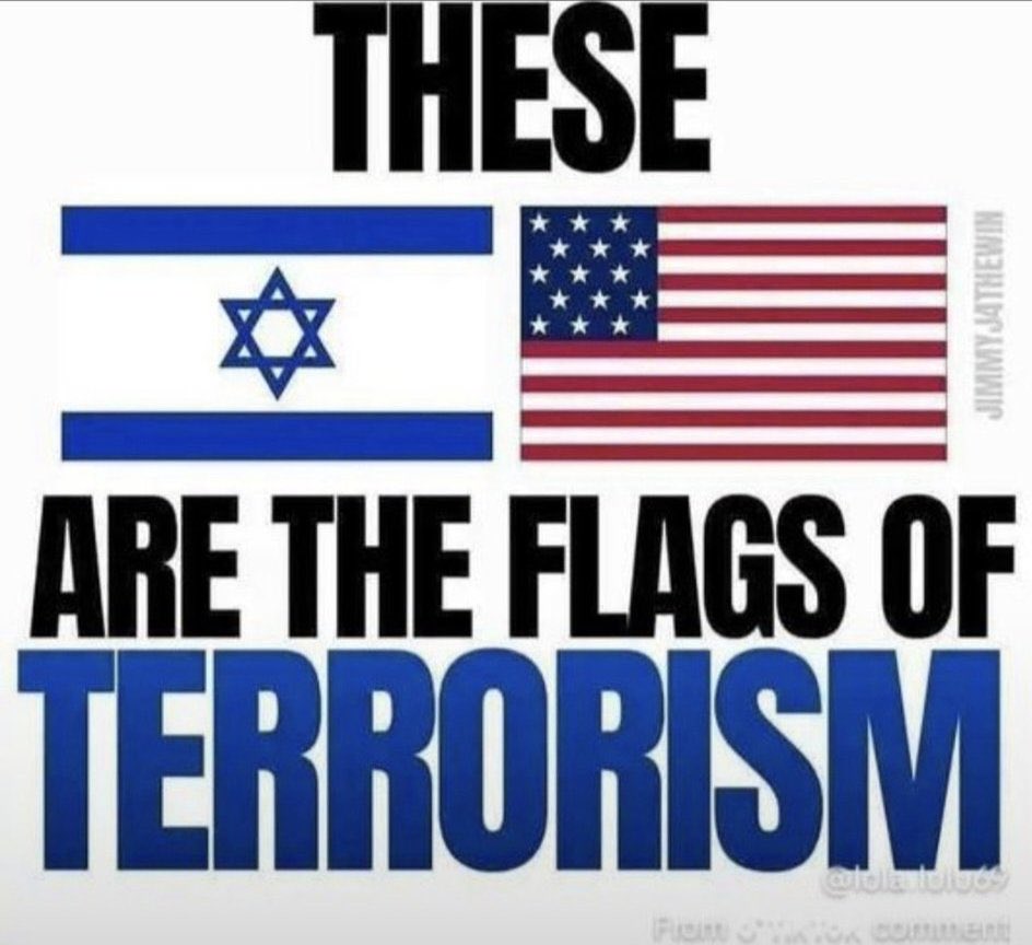 Robert Mitchell tweet media