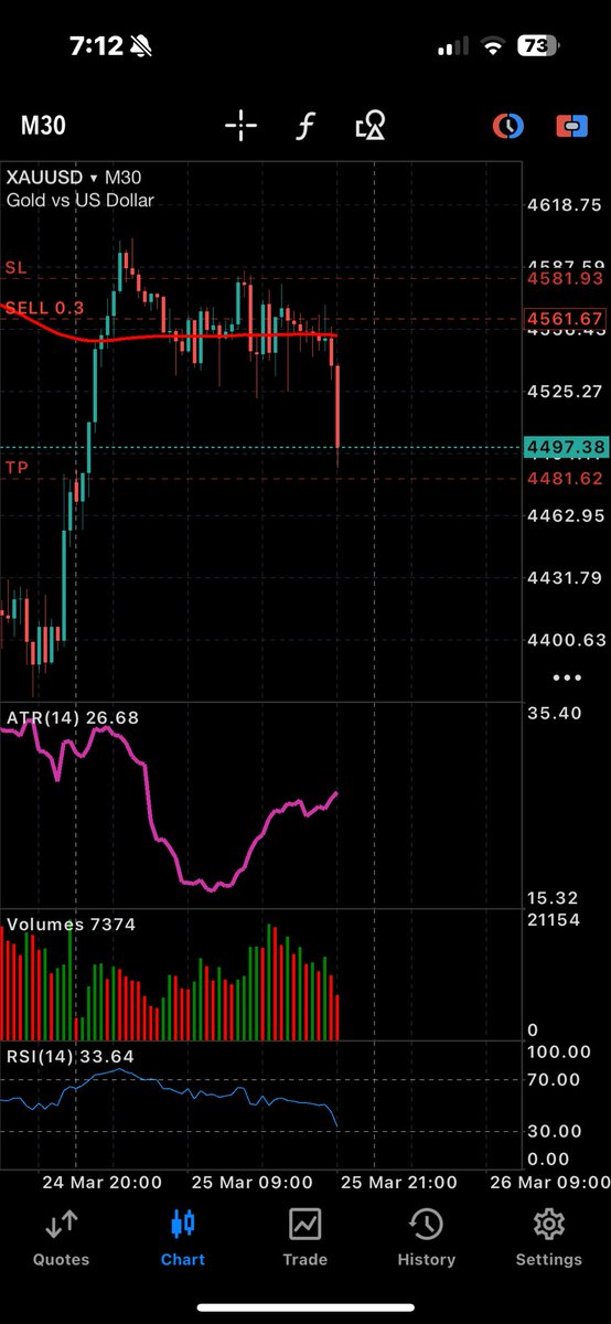 Tħe Forex Guy tweet media