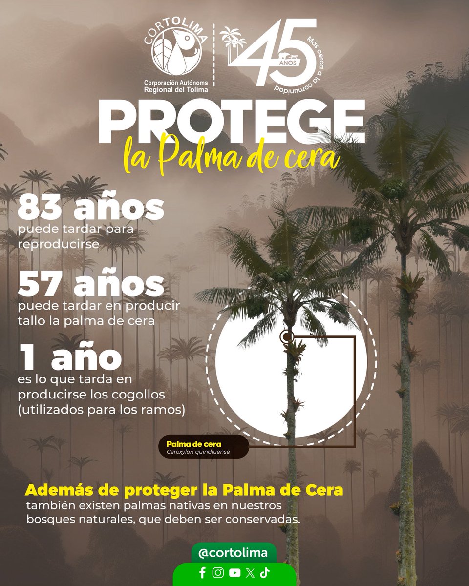 Cortolima tweet media