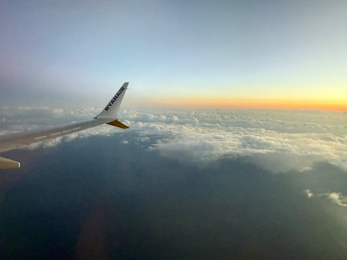 Rónán Ó Coisdealbha tweet media