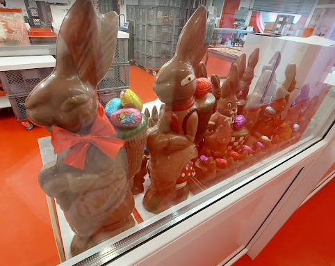 Sunflower tweet media