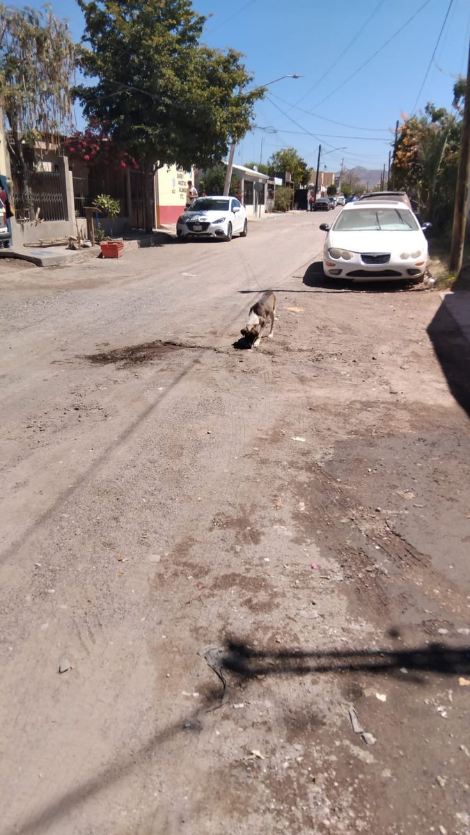 Yuro Luna tweet media