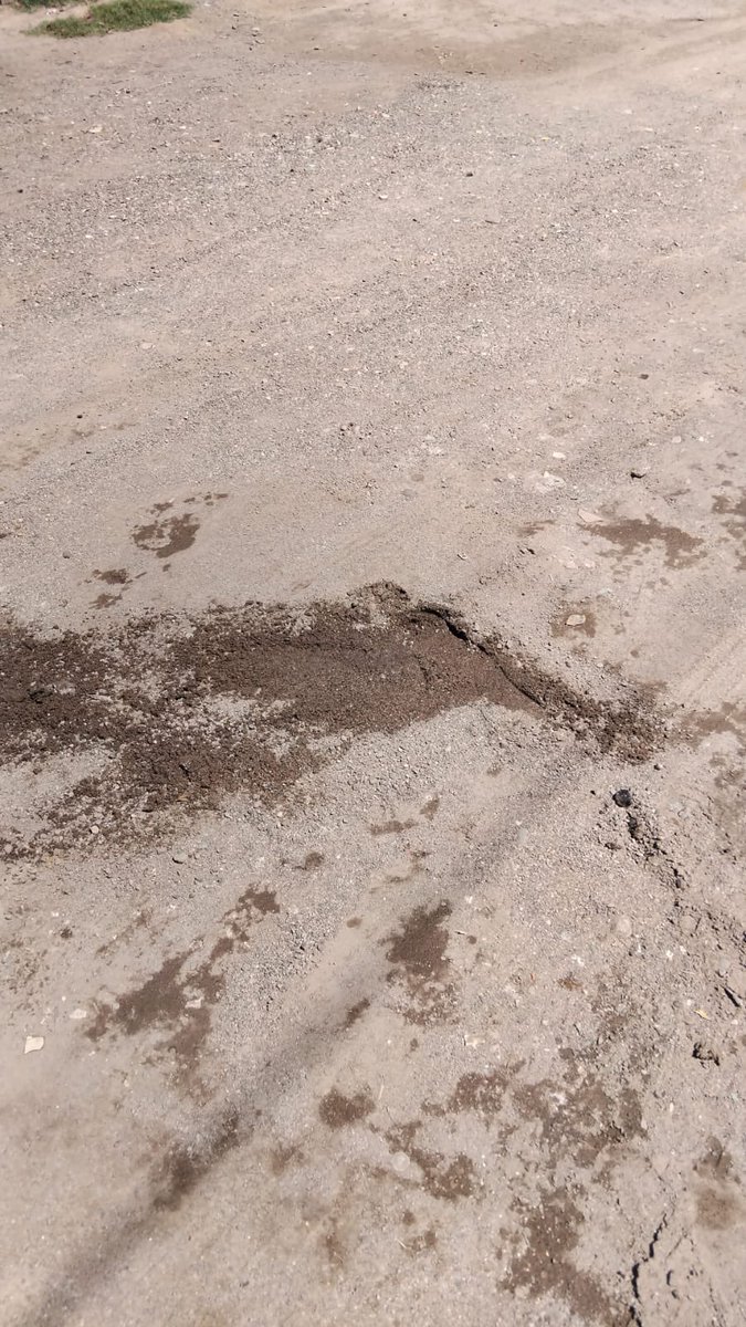 Yuro Luna tweet media