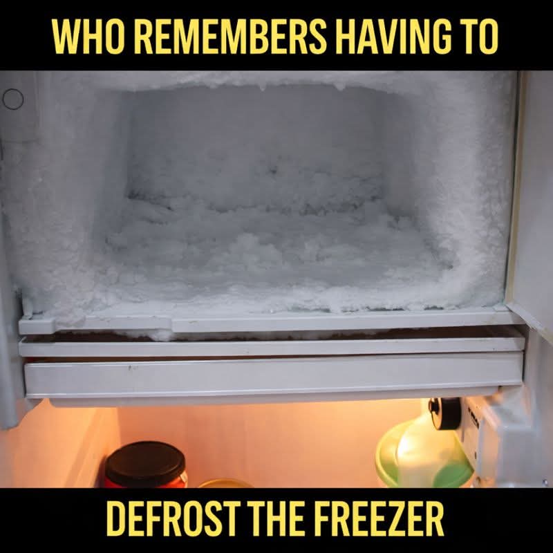 Elizabeth❣️ tweet media