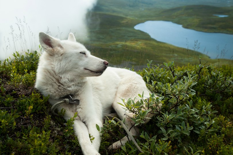 Titch Nethercot tweet media