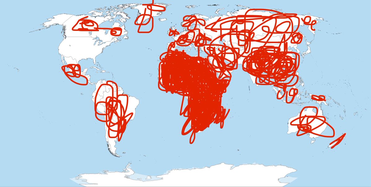 Jesse Kelly tweet media