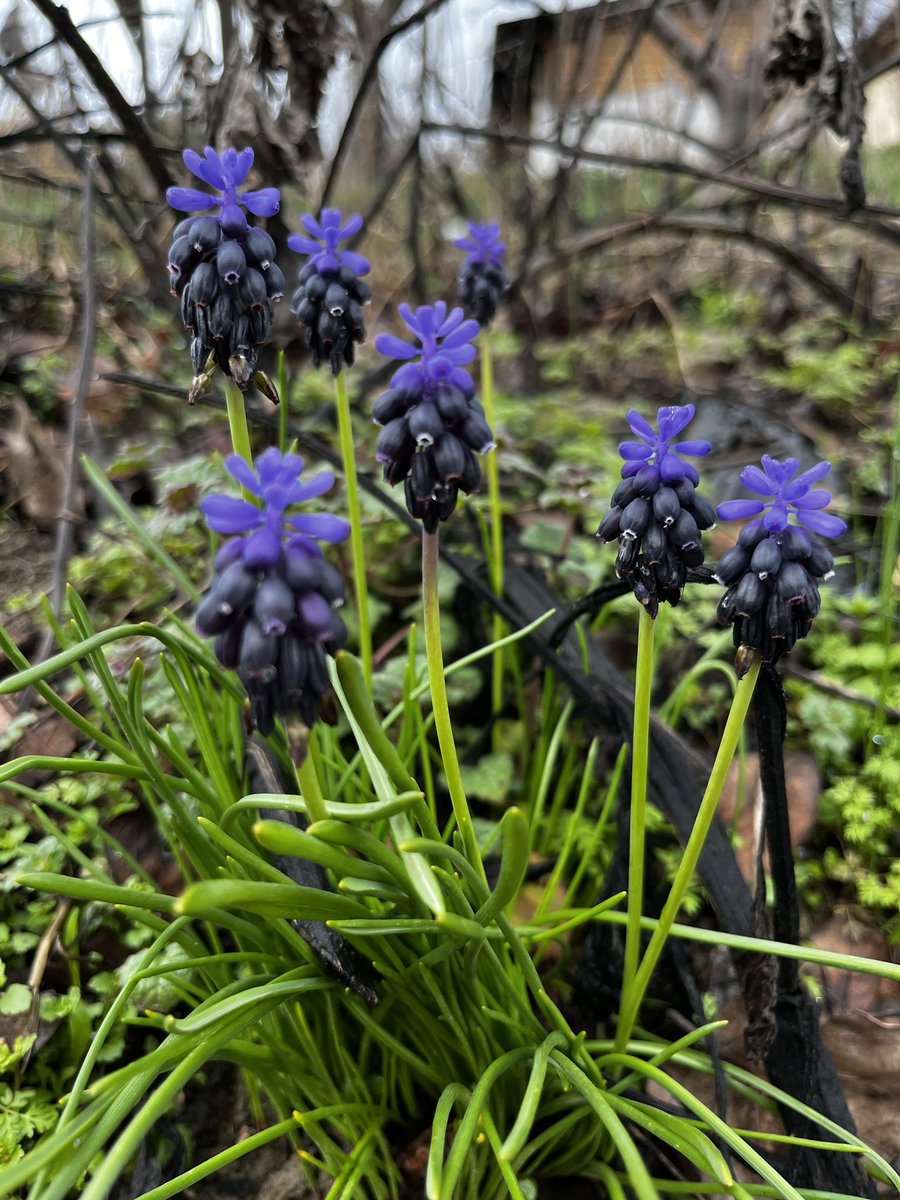 Başkalarının sevgisi
yarayı sarar, ama izleri 
ancak sen silersin..