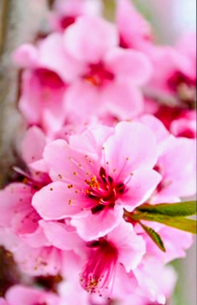 まゆみ おおがた tweet media