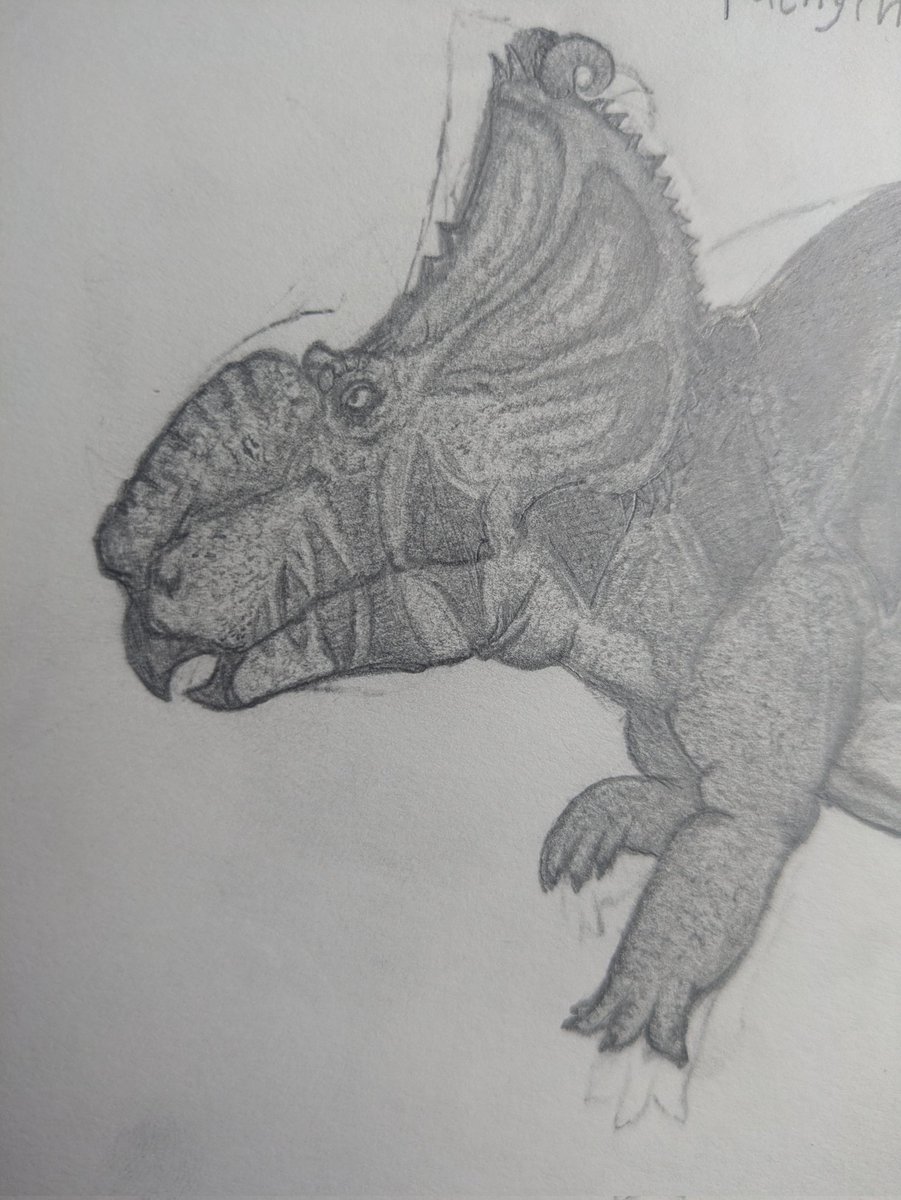 Goob🏳️‍⚧️ (#1 Octopus Accelerator fan) tweet media