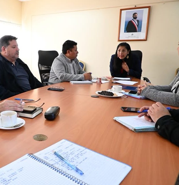 🇨🇱 Patriota Visceral ☭⃠ tweet media