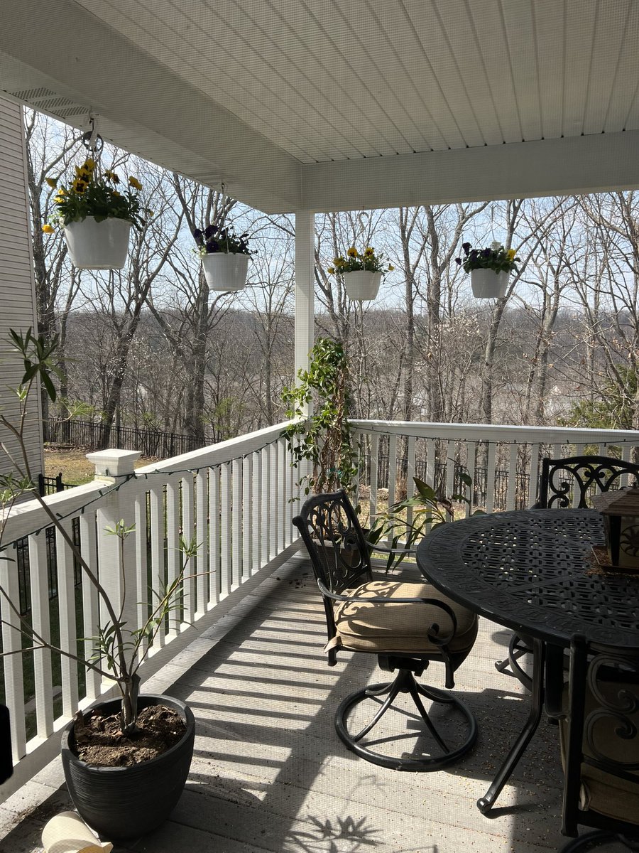 Julia Gordon-Bramer tweet media