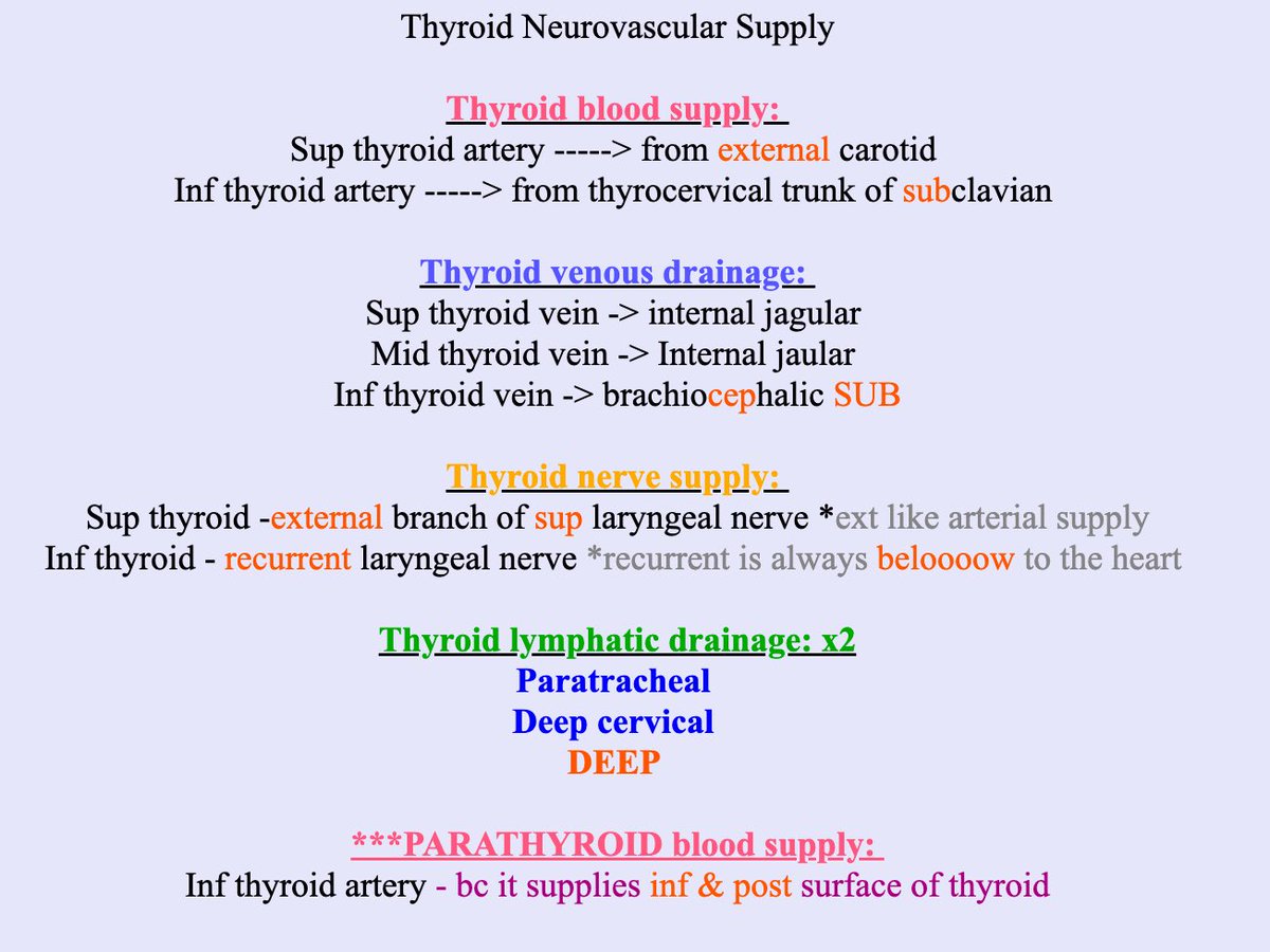 ريناد tweet media