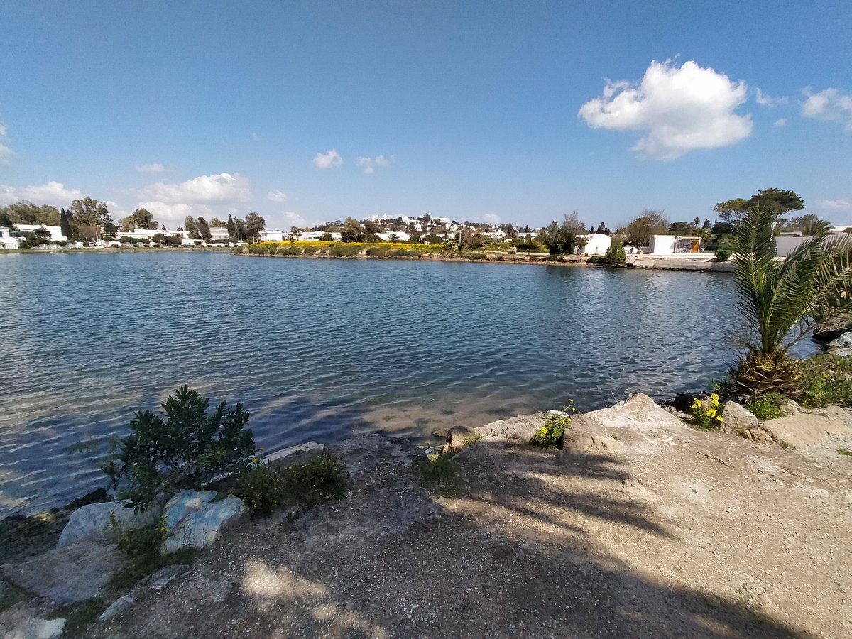 Dominique Garcia tweet media