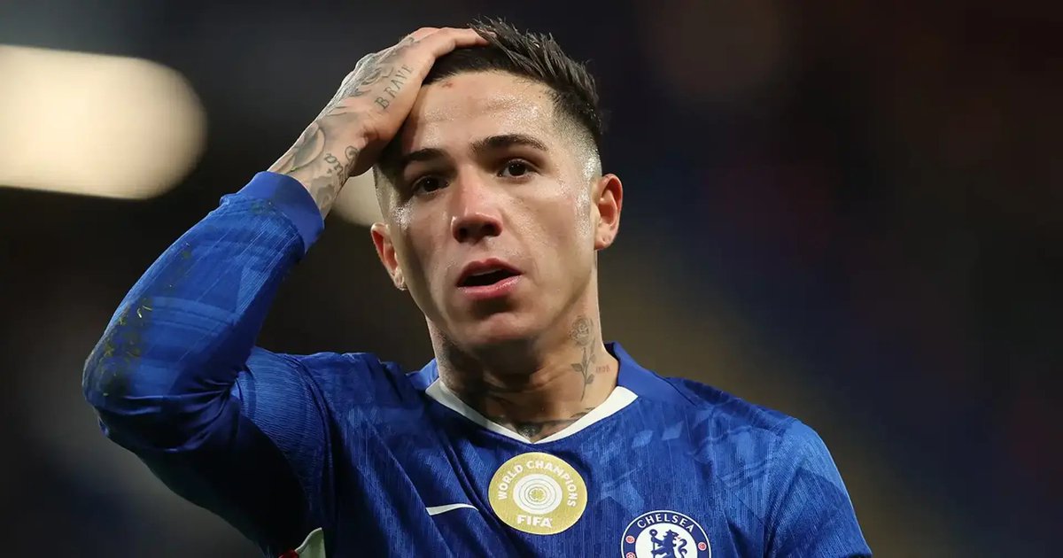 Tom's Dinosaur Opinion tweet media