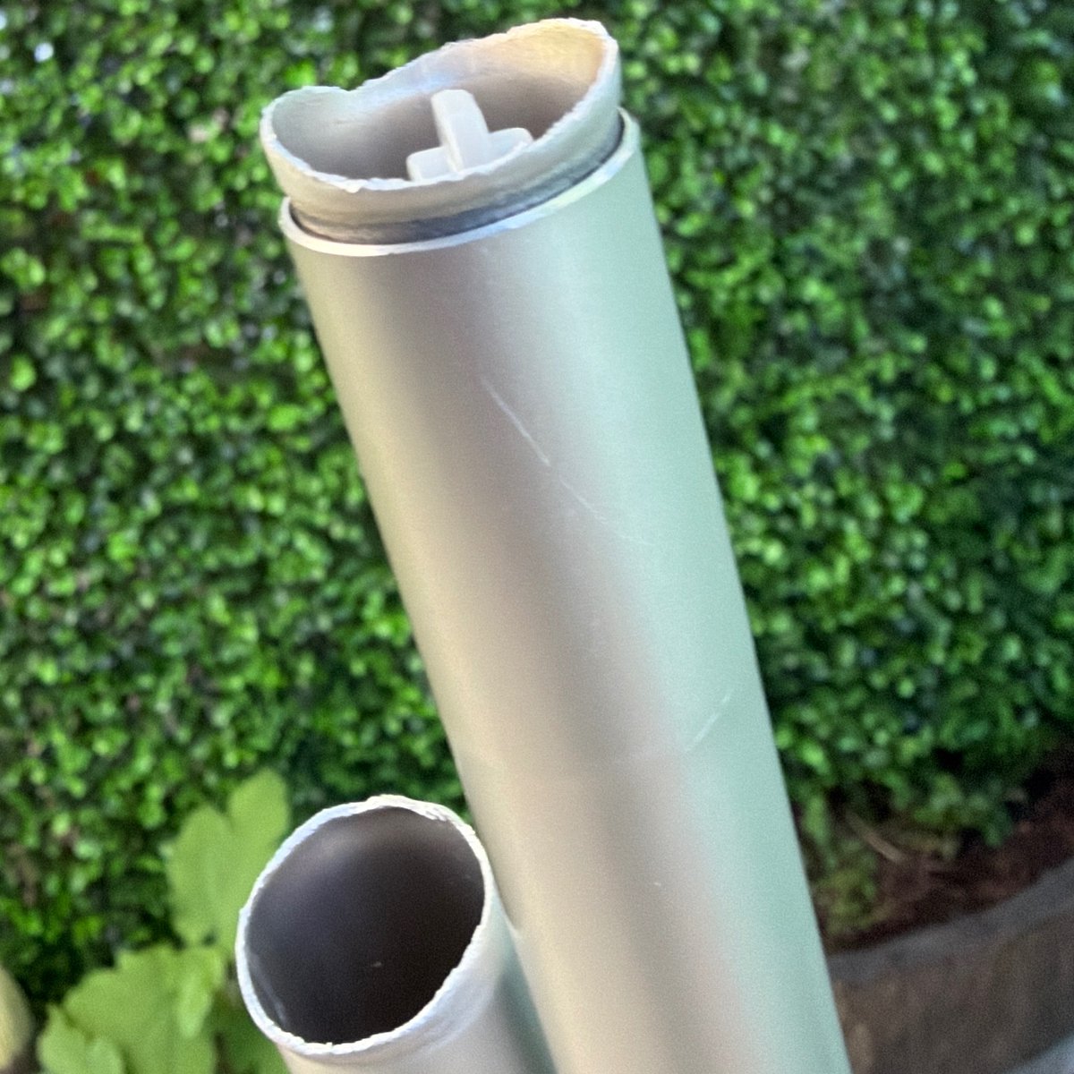 ☆Citizens Of Earth☆ tweet media