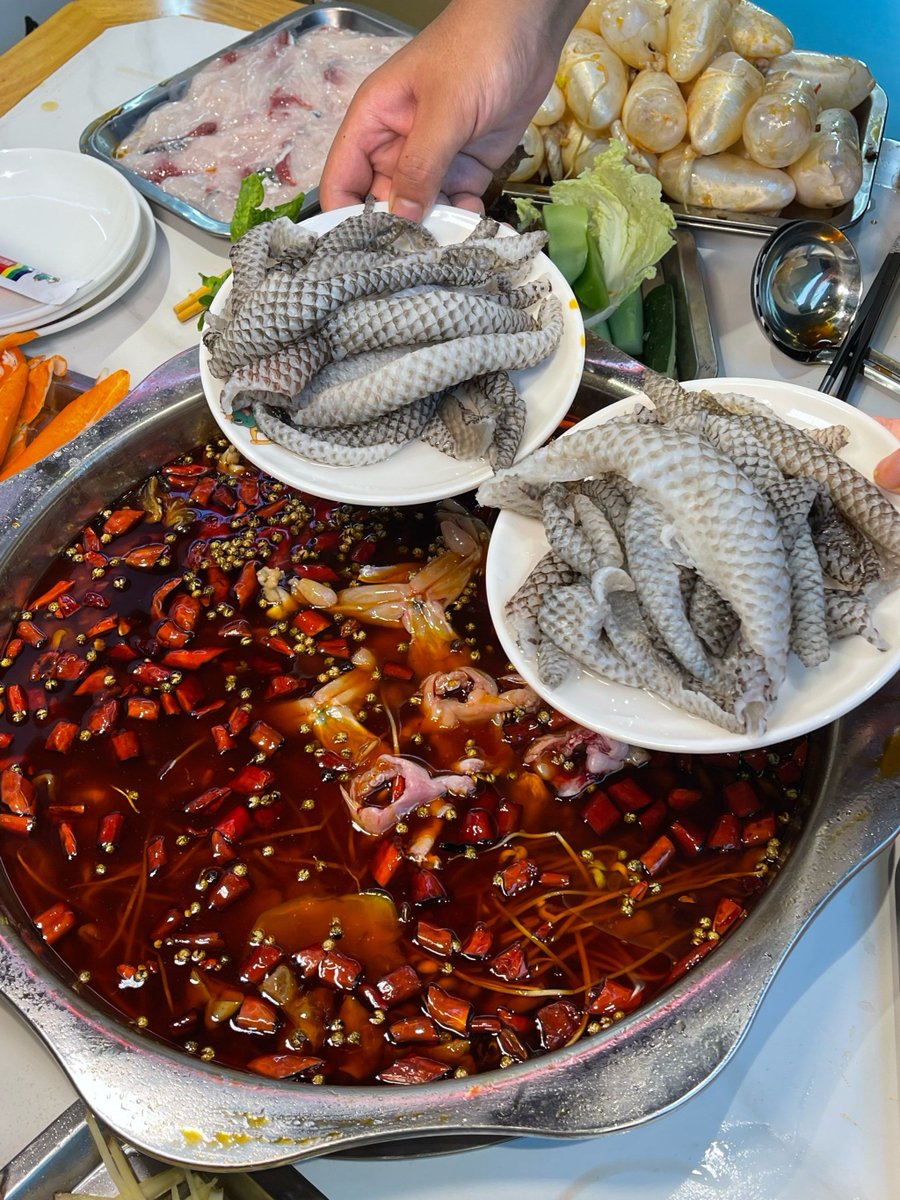 van wanrooij hubert tweet media