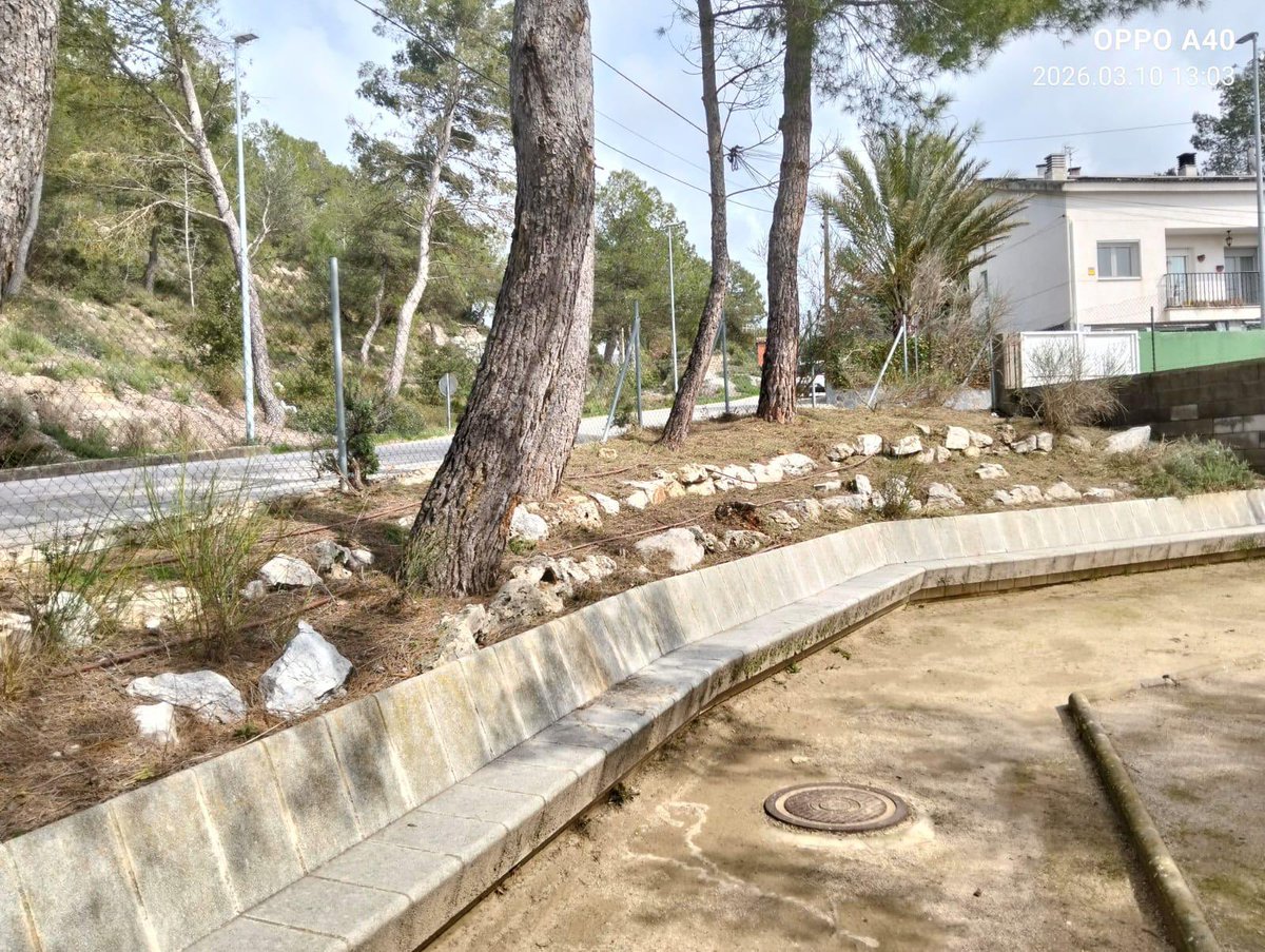 Ajuntament d'Òdena tweet media