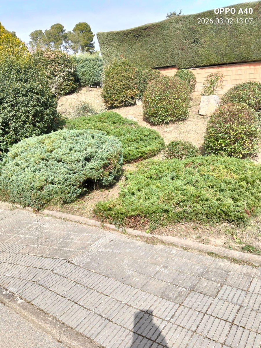 Ajuntament d'Òdena tweet media