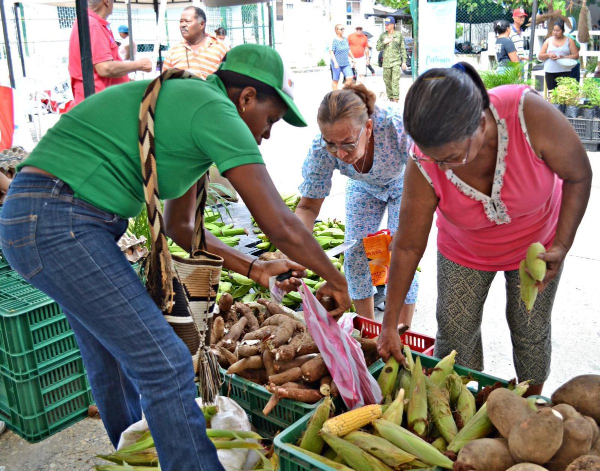 Alcaldía de Cartagena tweet media