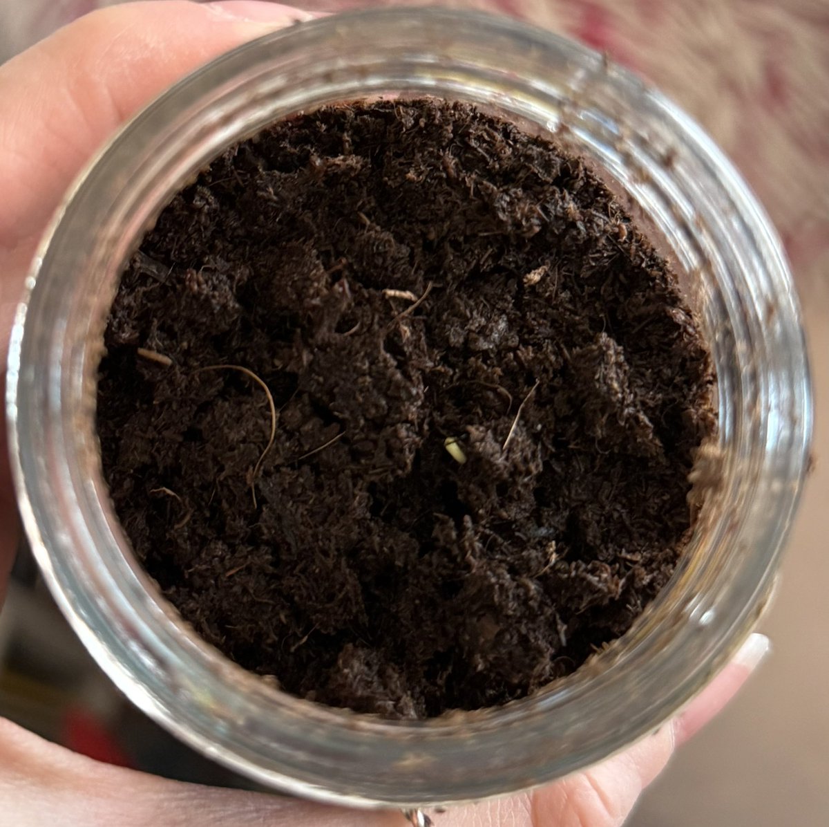 delulu dani ꫂ ၴႅၴ tweet media