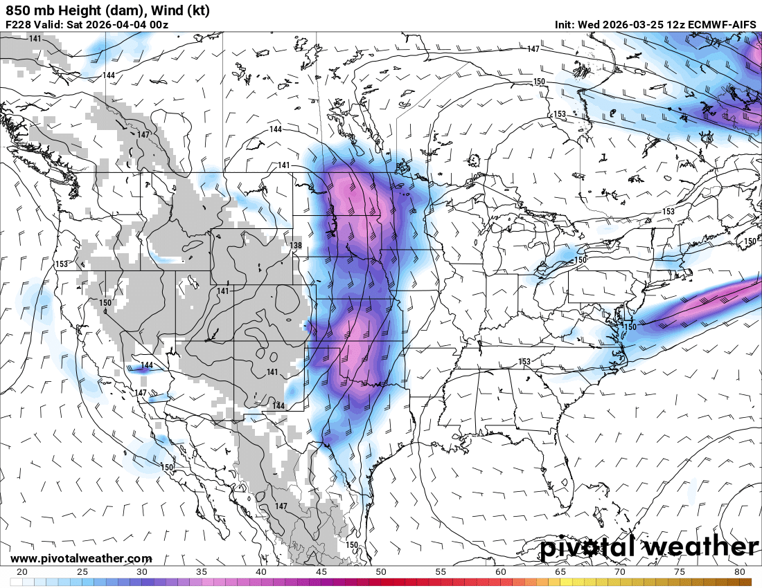 Andrew Brady tweet media