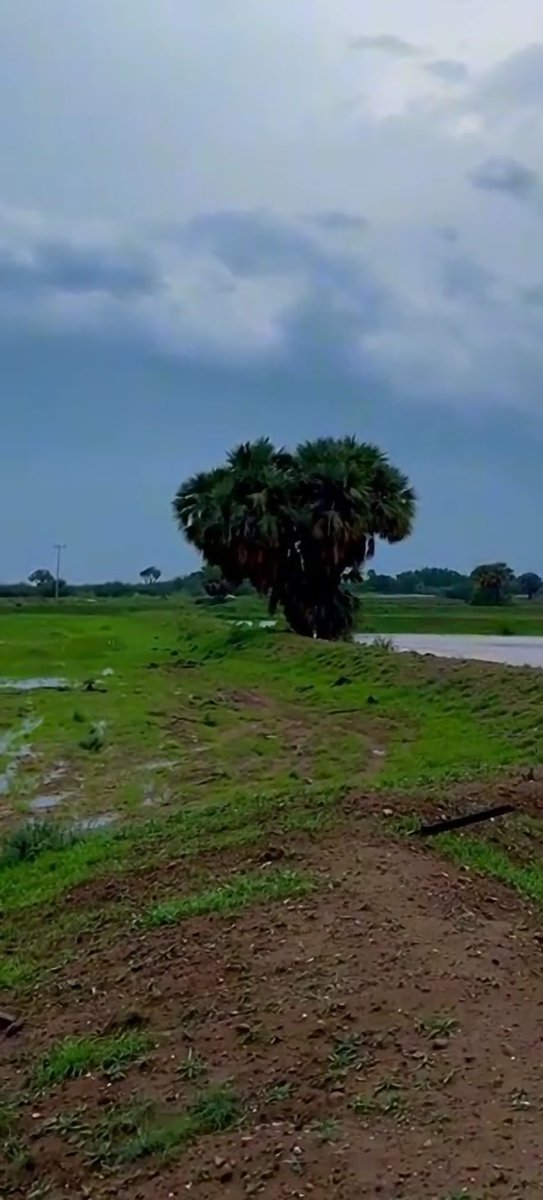 بنت الجنوب كلية الطب طب جراحه)) tweet media