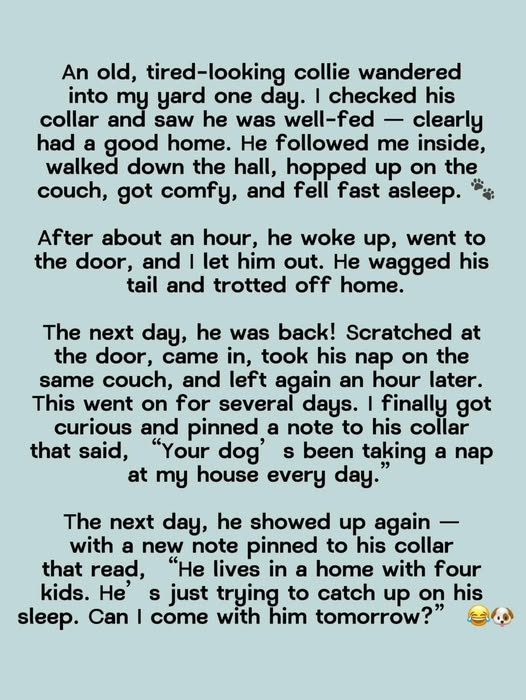 Papa Woof und Krampus und Bleaken tweet media