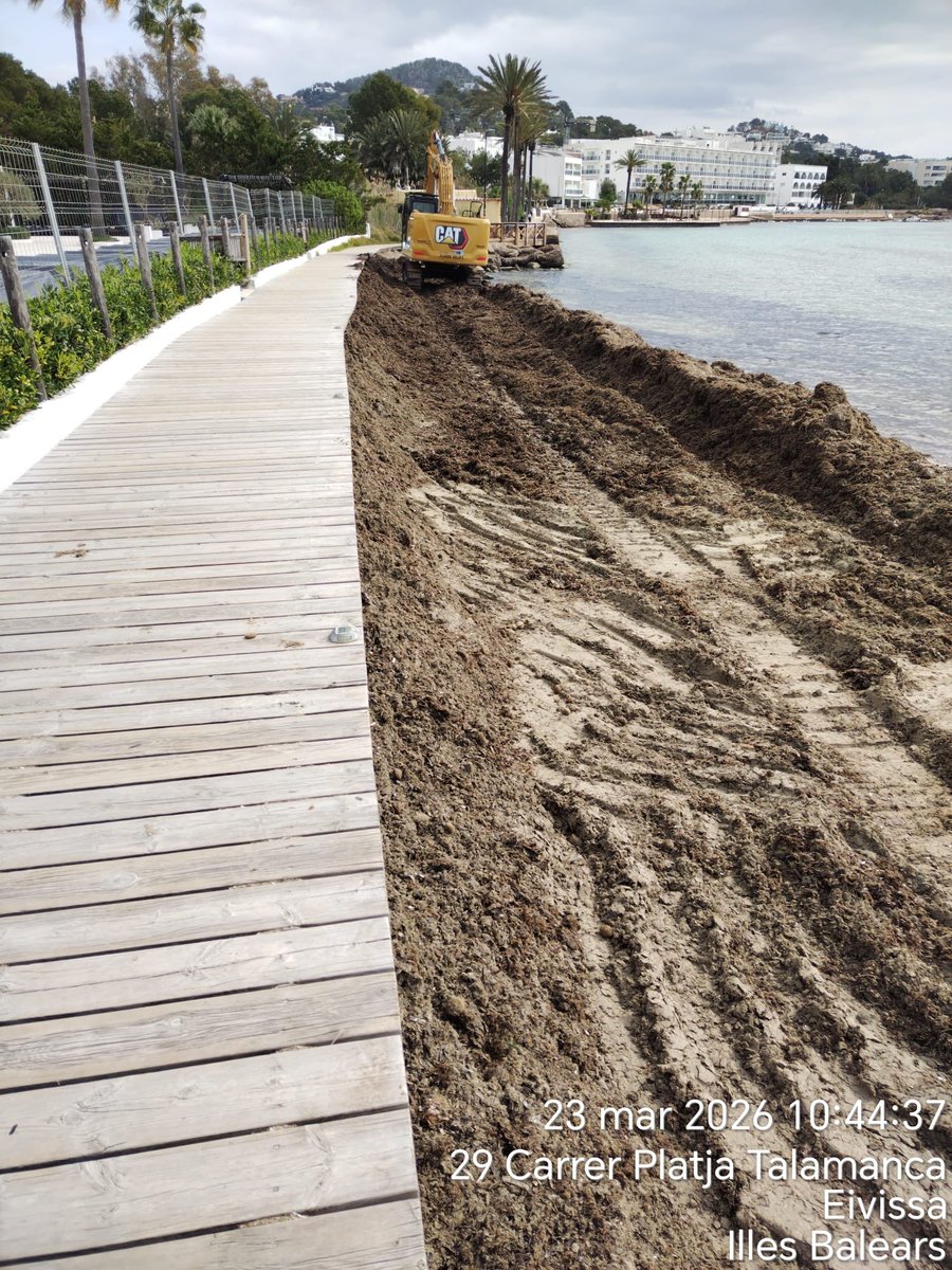 Rubén Sousa tweet media