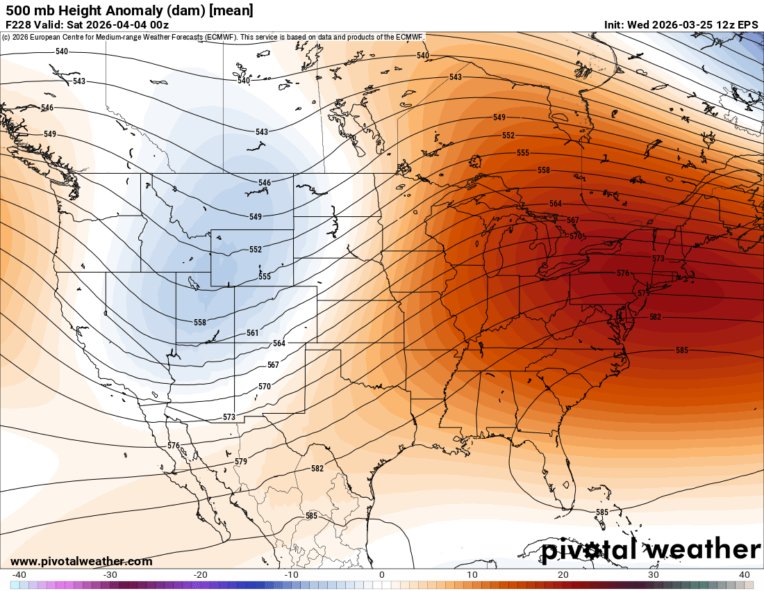 Andrew Brady tweet media