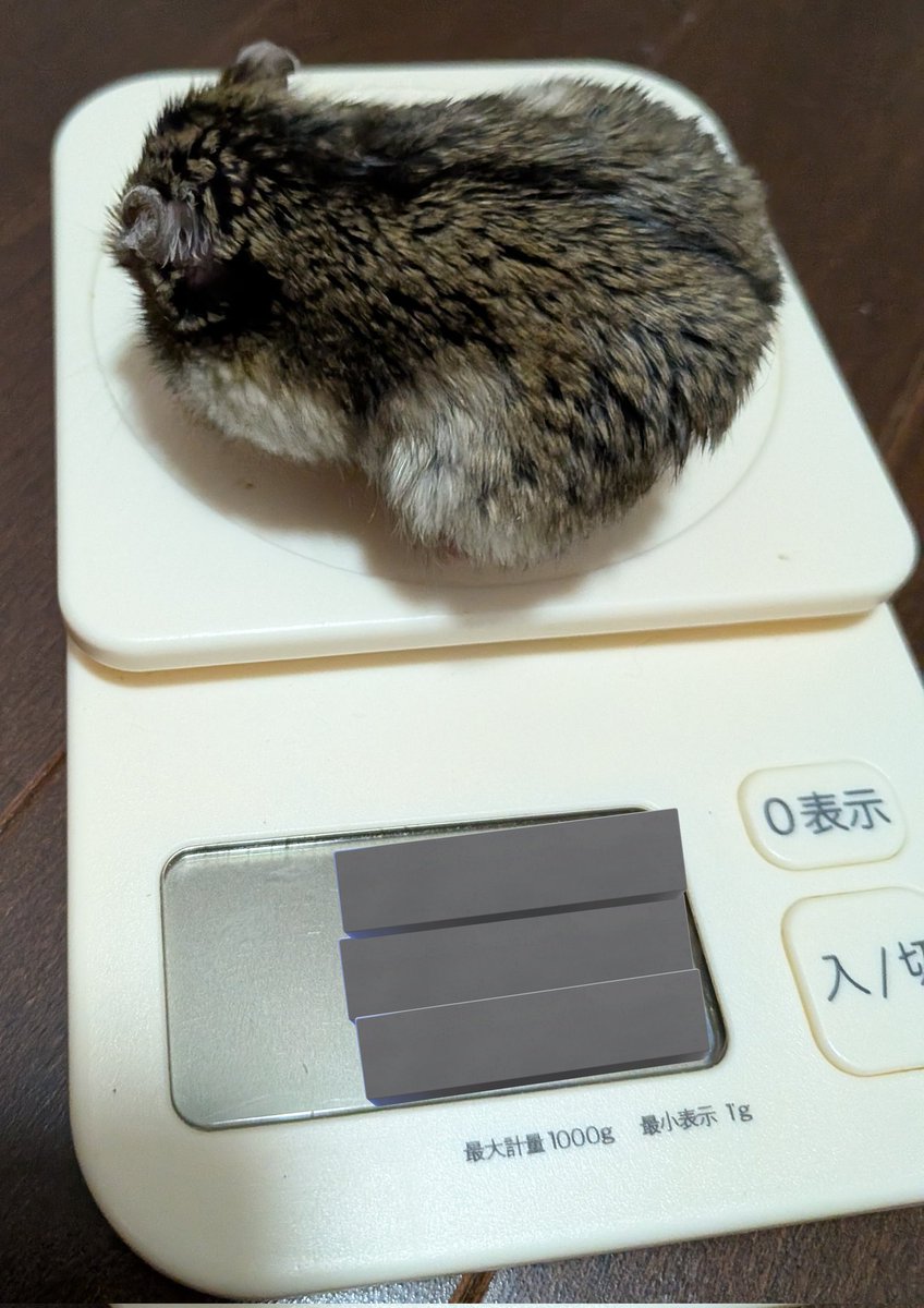 りくのさかな@4/19かすみがうら、11/8アクアライン tweet media