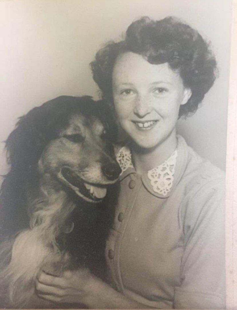 peter stone 🏴 tweet media