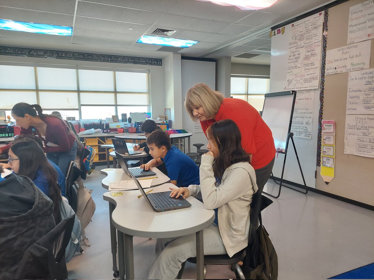 Dolphin Terrace ES tweet media