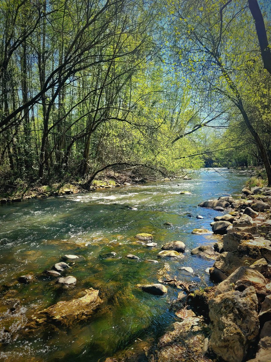 Mariola Estrada tweet media