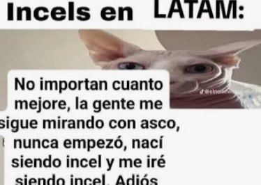 📀Epico🍉 tweet media