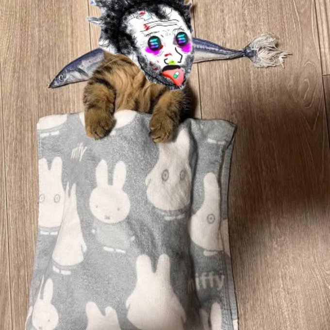 Solana On PulseChain tweet media