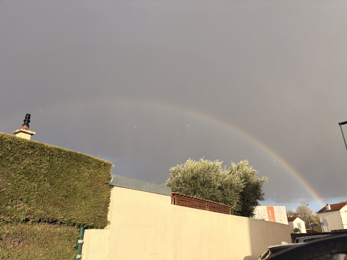 Périanthe🪁🎨 tweet media