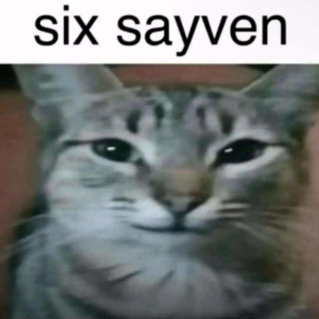 𝐌𝐄𝐈𝐊𝐎 🖤 2DFD tweet media