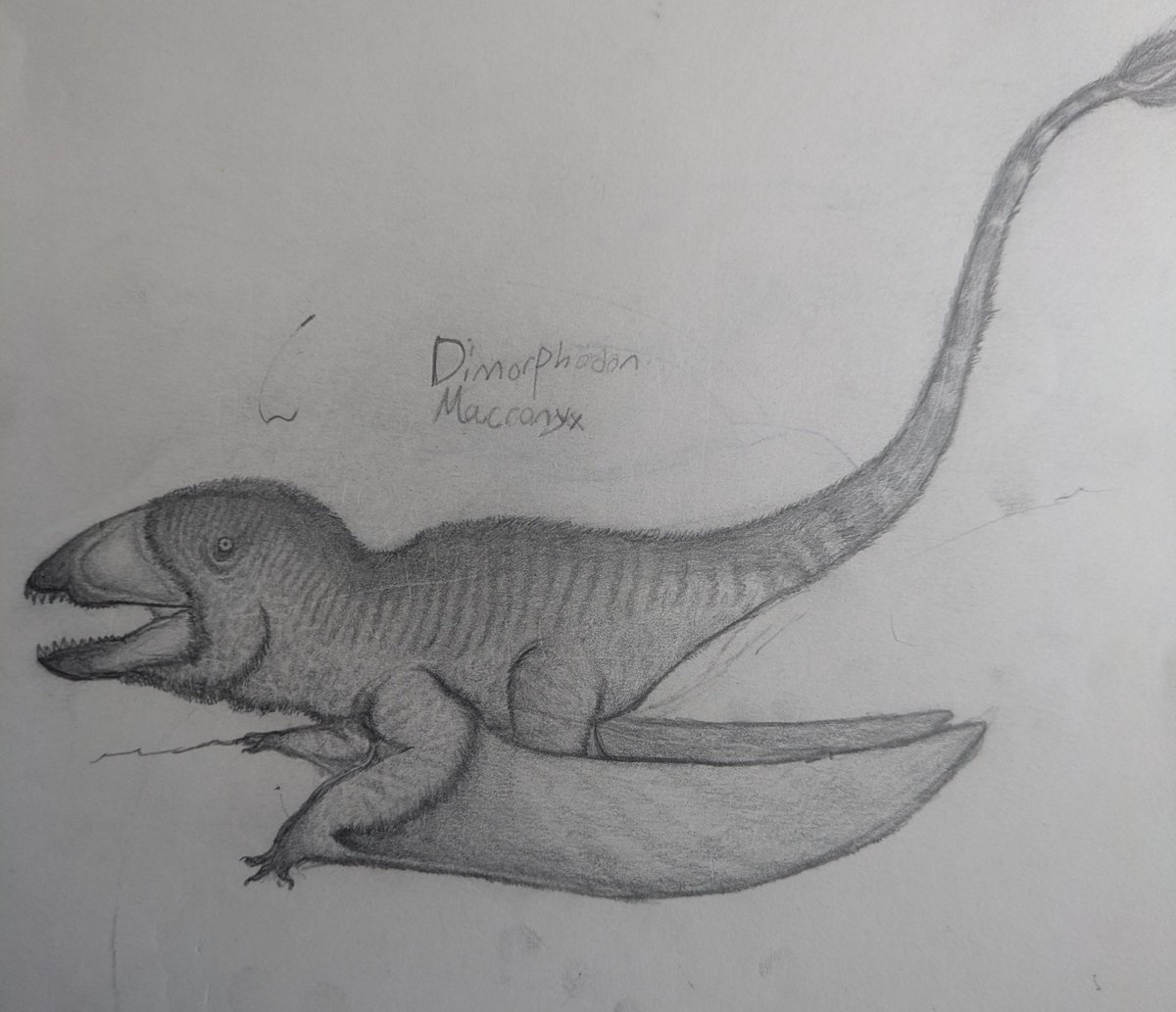 Goob🏳️‍⚧️ (#1 Octopus Accelerator fan) tweet media