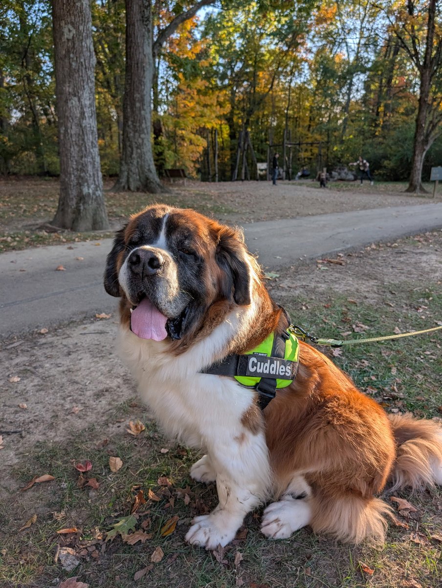 K & Archie, Alec, Declan & Saoirse tweet media