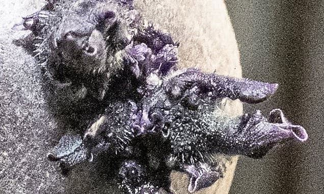 Tendencias tweet media