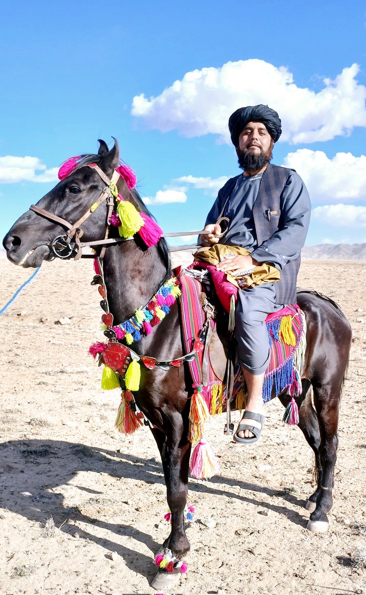 خـیبر امـارتي وردګ tweet media