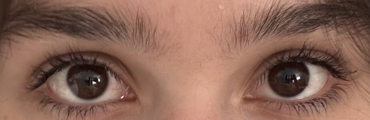 Sammy ⋆˚࿔ tweet media