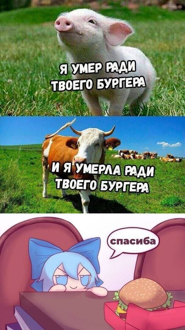 Василий Новиков tweet media