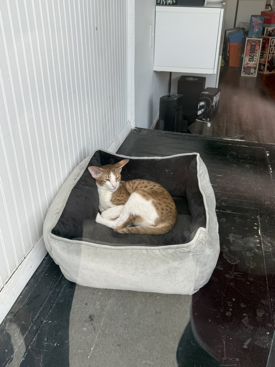 ruby ˚✿˖ tweet media