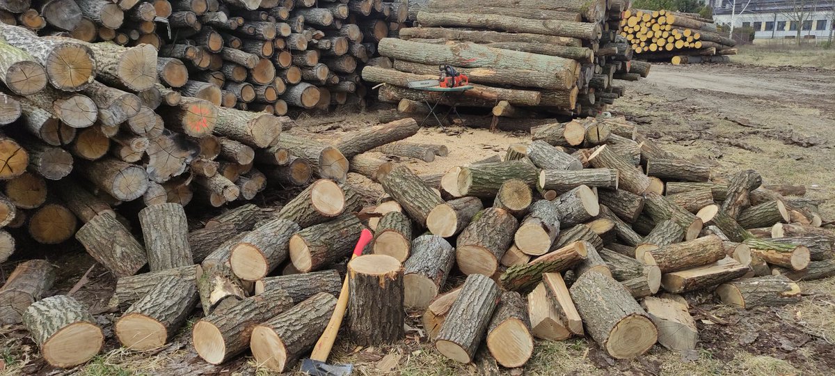 Bogdan Pieńkowski tweet media