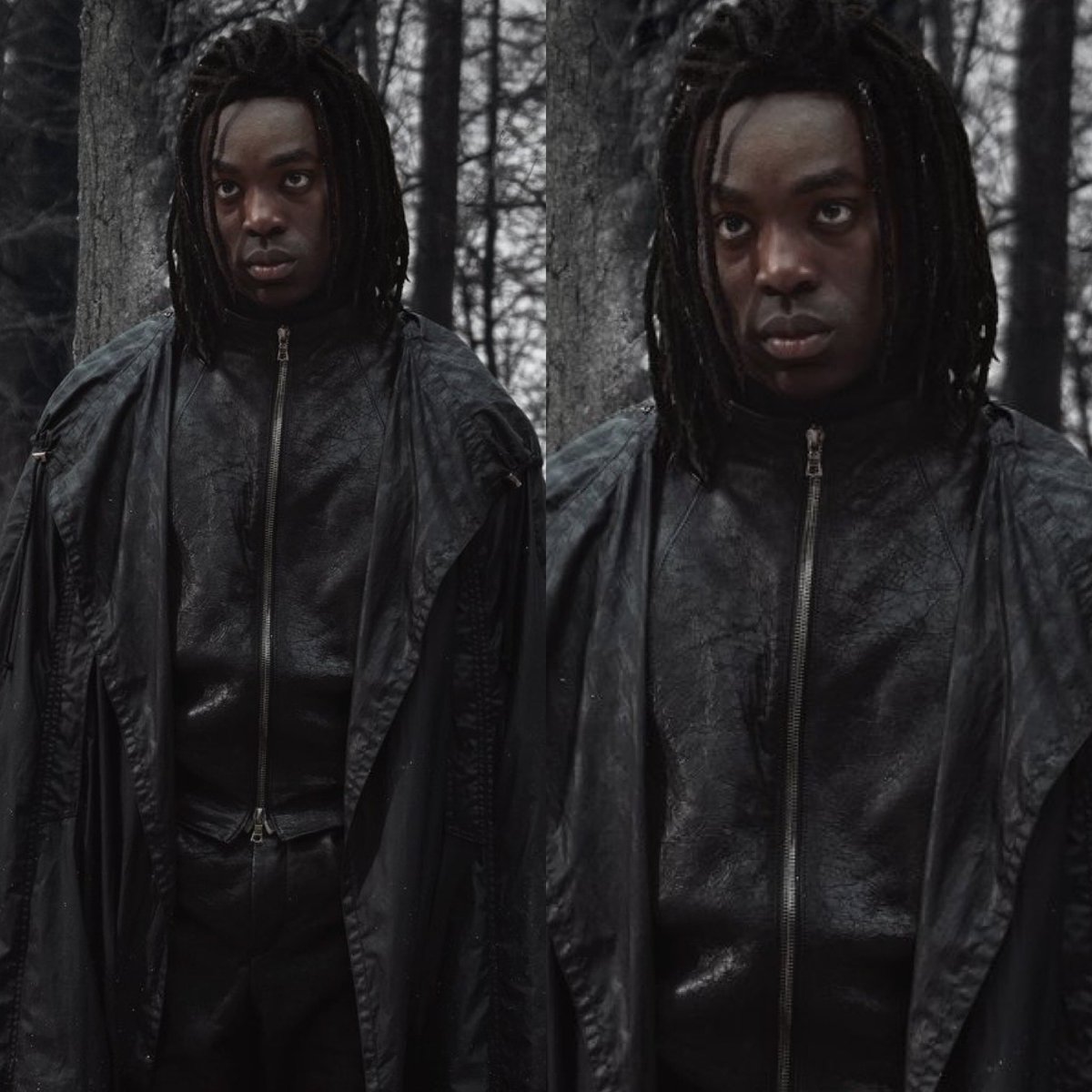 Cerebros tweet media