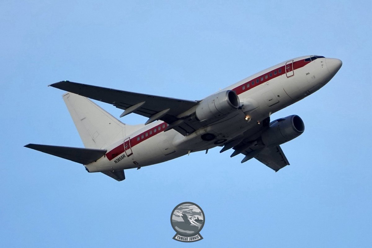 TomcatJunkie🏴‍☠️ tweet media