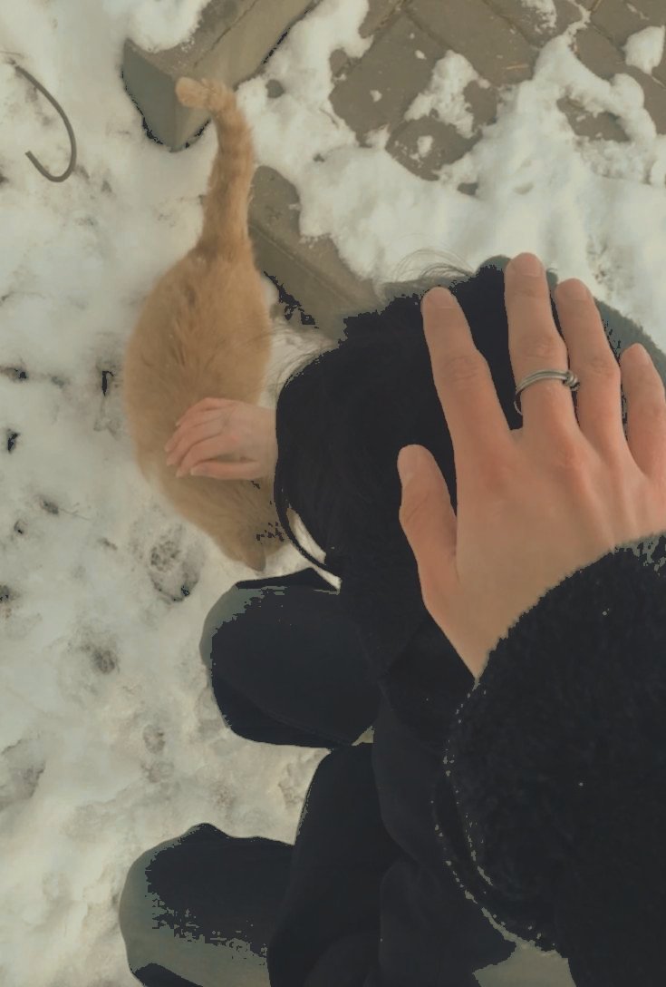 ᅠ𝕾𝙾 𝐥꩜𝐧𝐠 𖬺 𝒈𝒐𝒐͟𝒅͟ ͟𝒏͟𝒊͟𝒈͟𝒉𝒕. tweet media